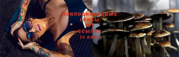 a pvp Беломорск