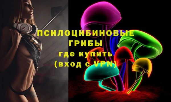 мдпв Белокуриха